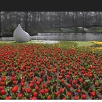 Il Mulino House D, Keukenhof Appartement