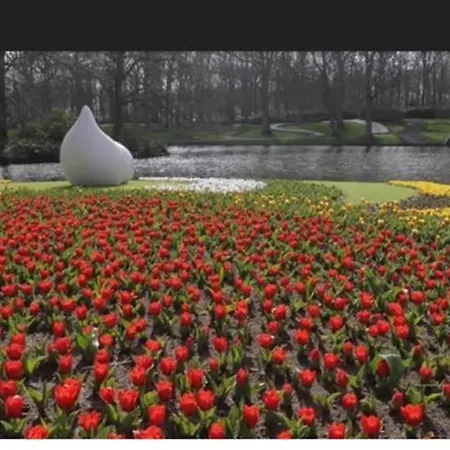 Il Mulino House D, Keukenhof Apartment